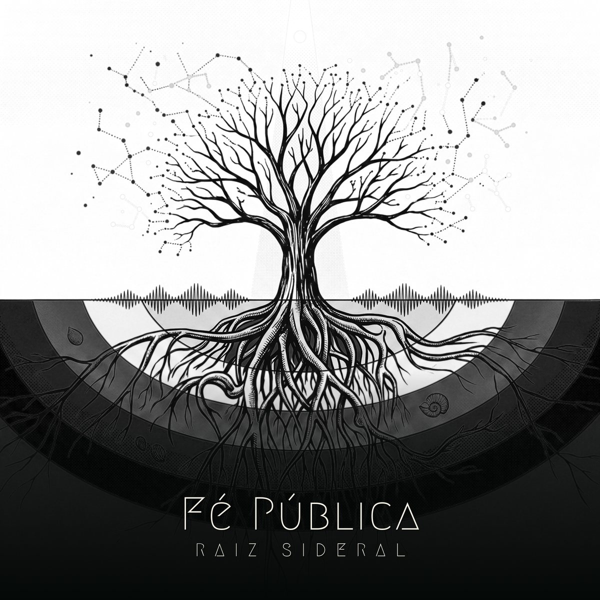 Capa de Fé Pública